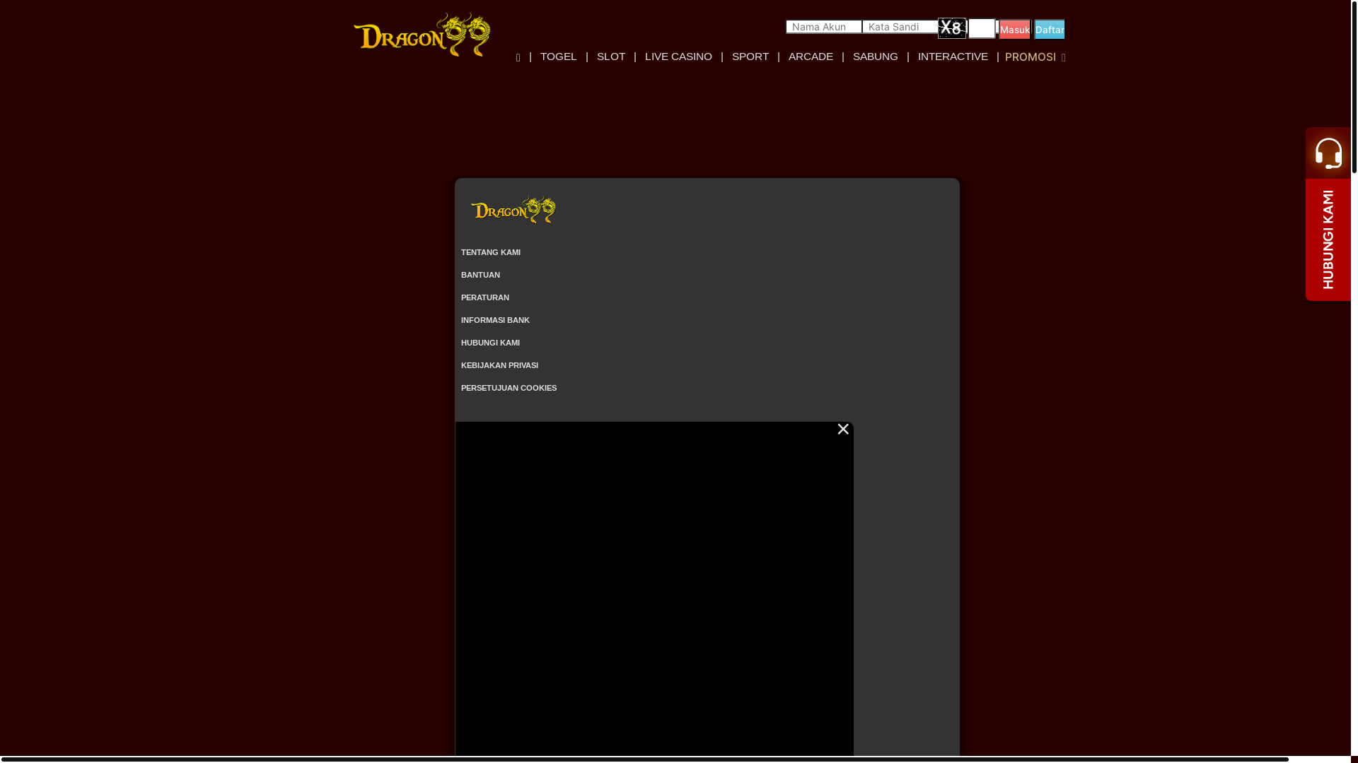 website screenshot of https://dragon99control.com/