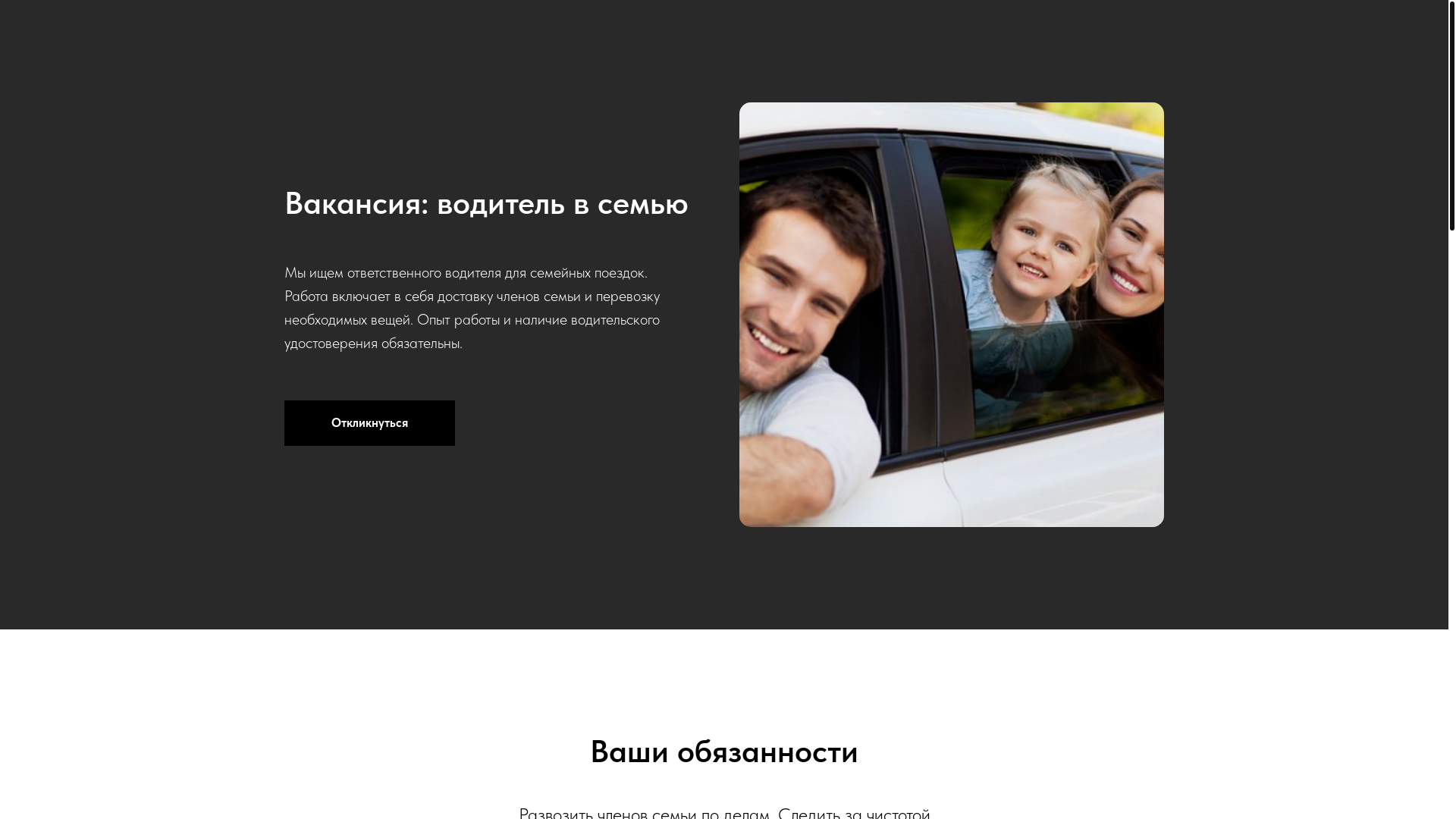 website screenshot of https://driversthefamily.ru/