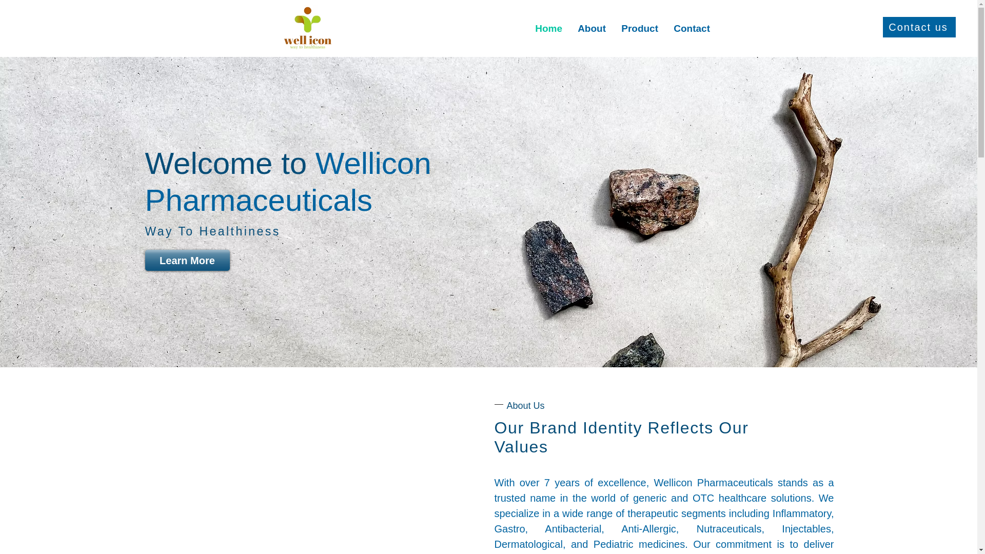 website screenshot of https://welliconpharma.com/