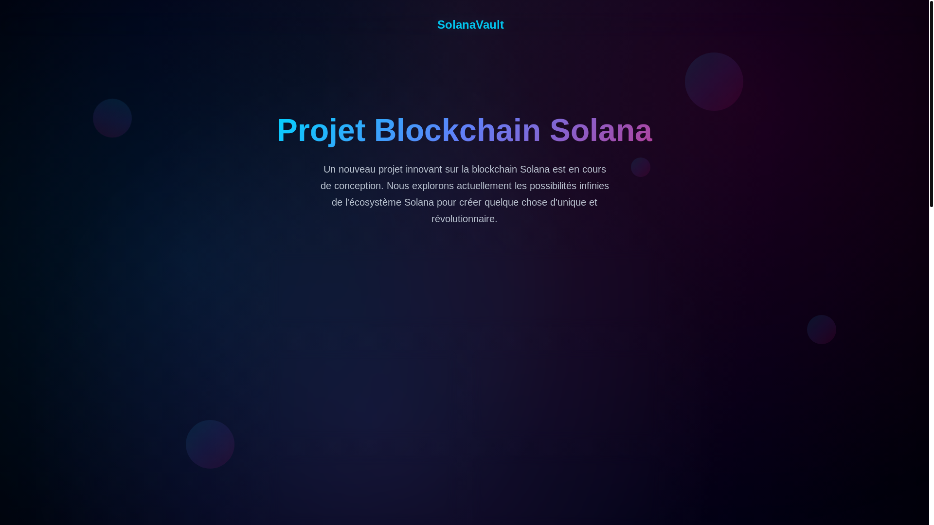 website screenshot of https://solana-vault.borrelly-betta.ts.net/
