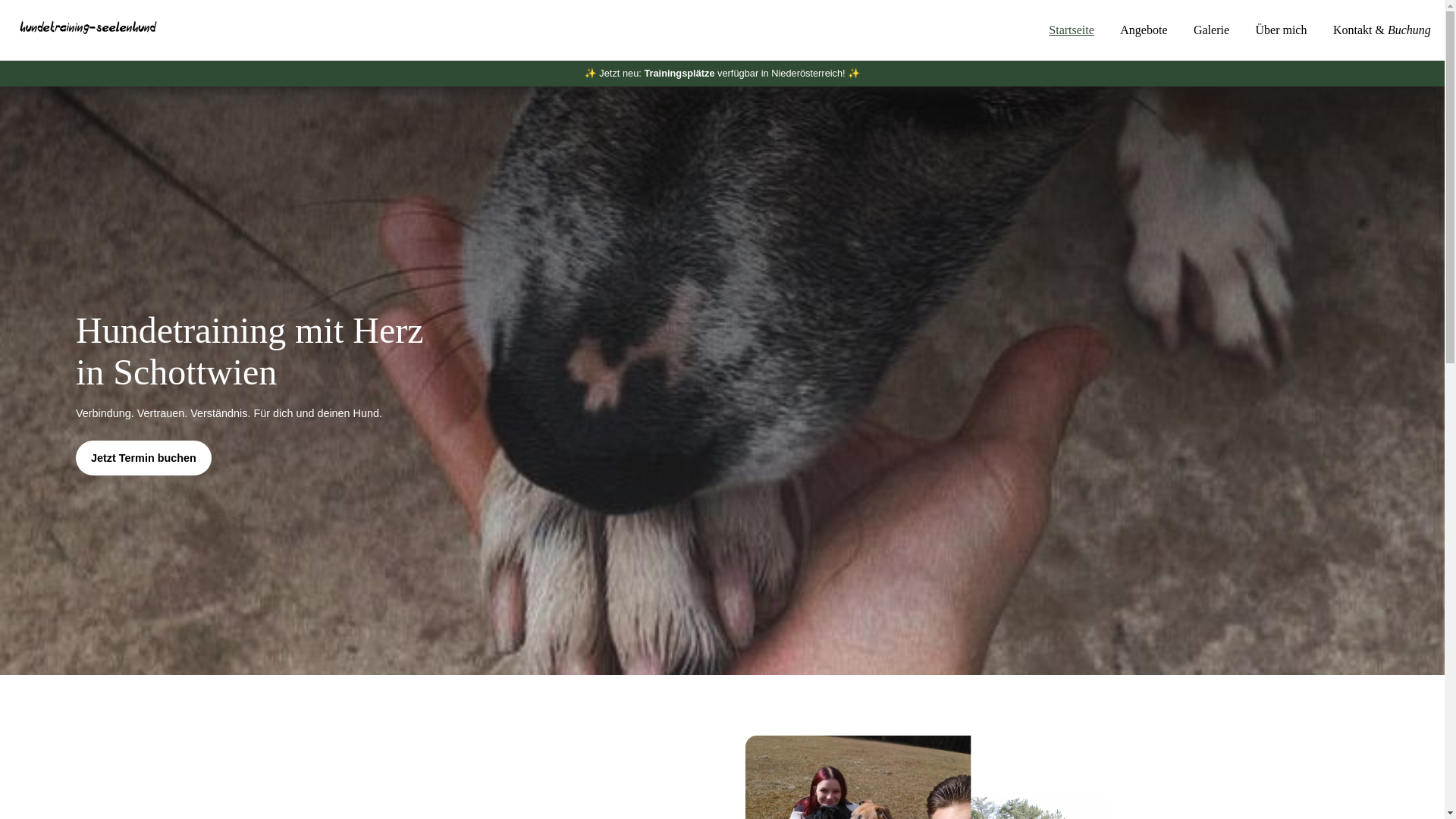 website screenshot of https://seelenhund-akademie.at/