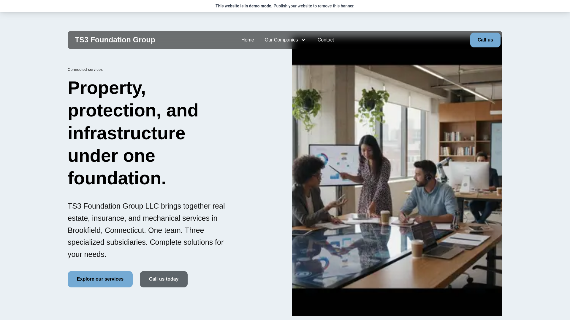 website screenshot of https://ts3foundationgroup.com/