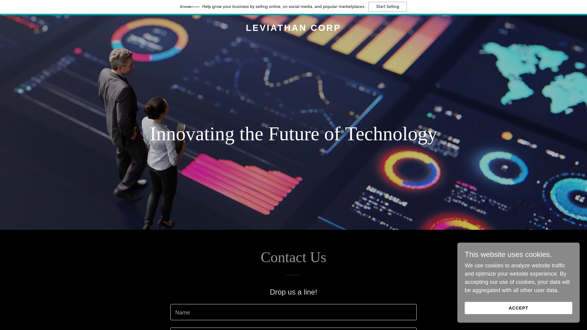 website screenshot of https://leviathan-corp.com/