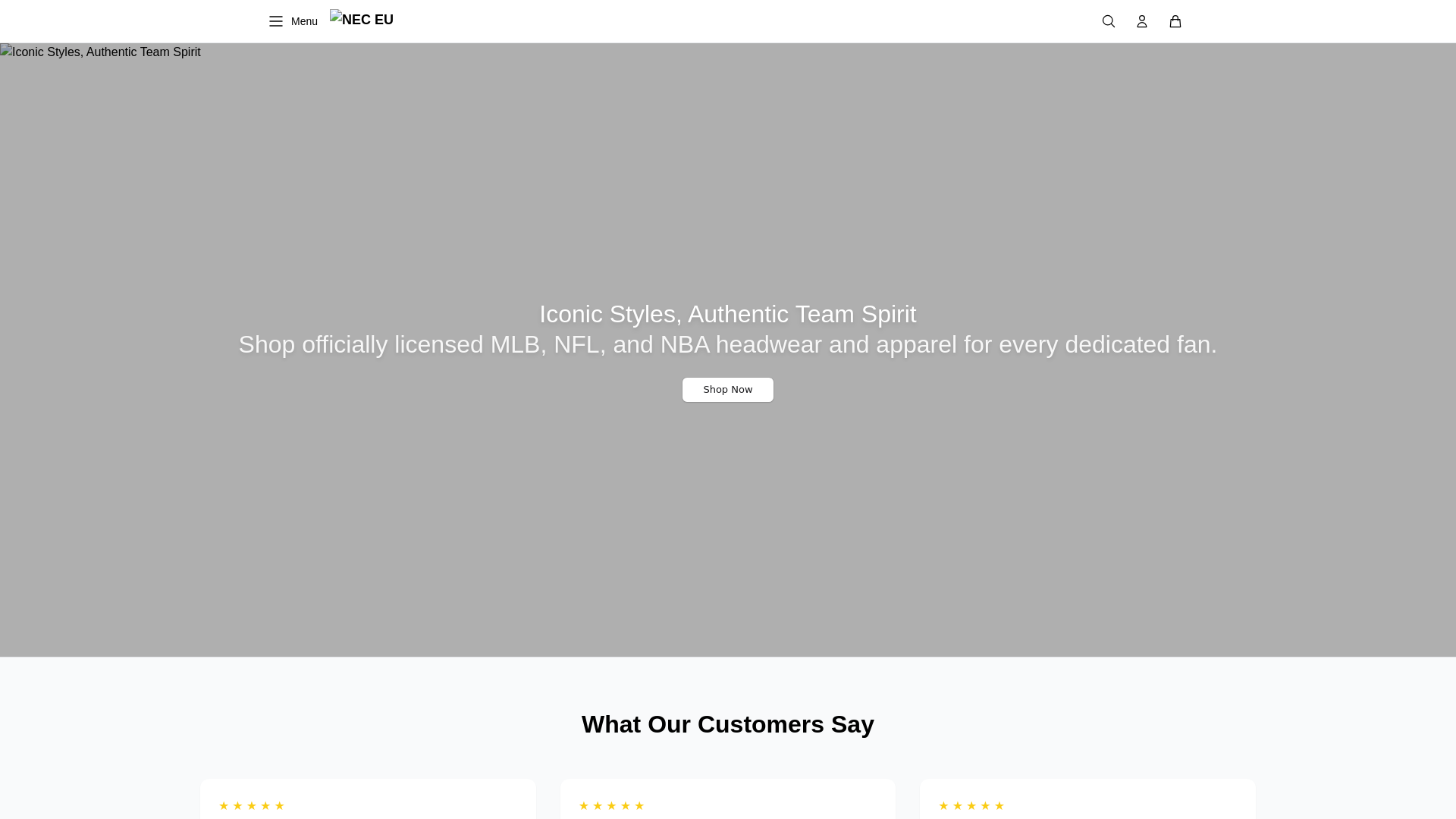 website screenshot of https://caplane.shop/