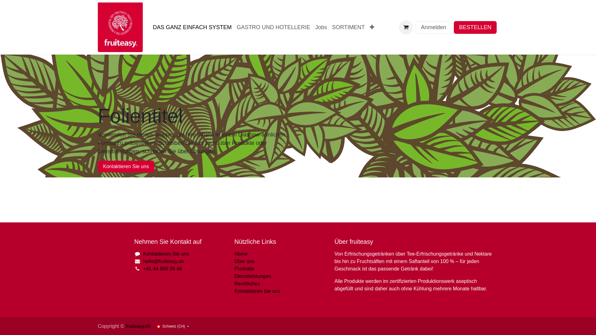 website screenshot of https://frigovans.ch/