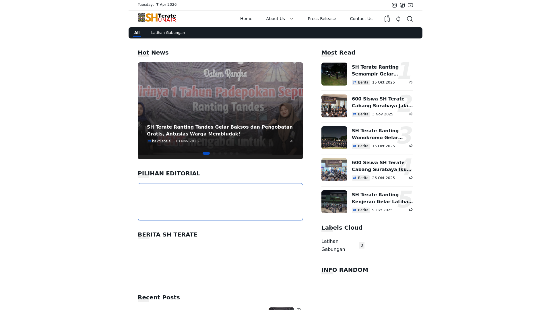 website screenshot of https://shterateunair.or.id