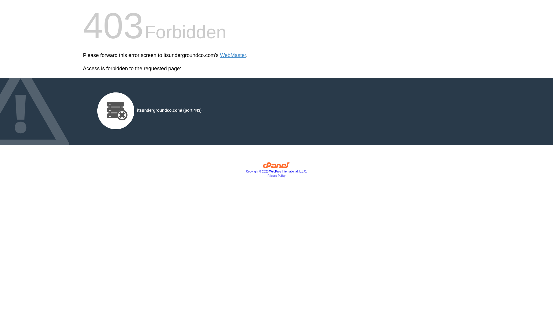 website screenshot of https://itsundergroundco.com/