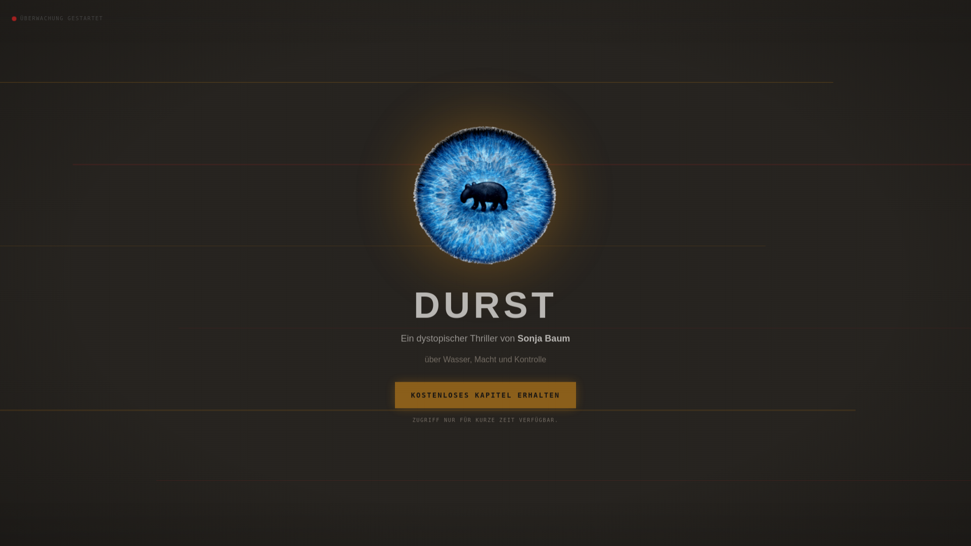 website screenshot of https://durst.studio