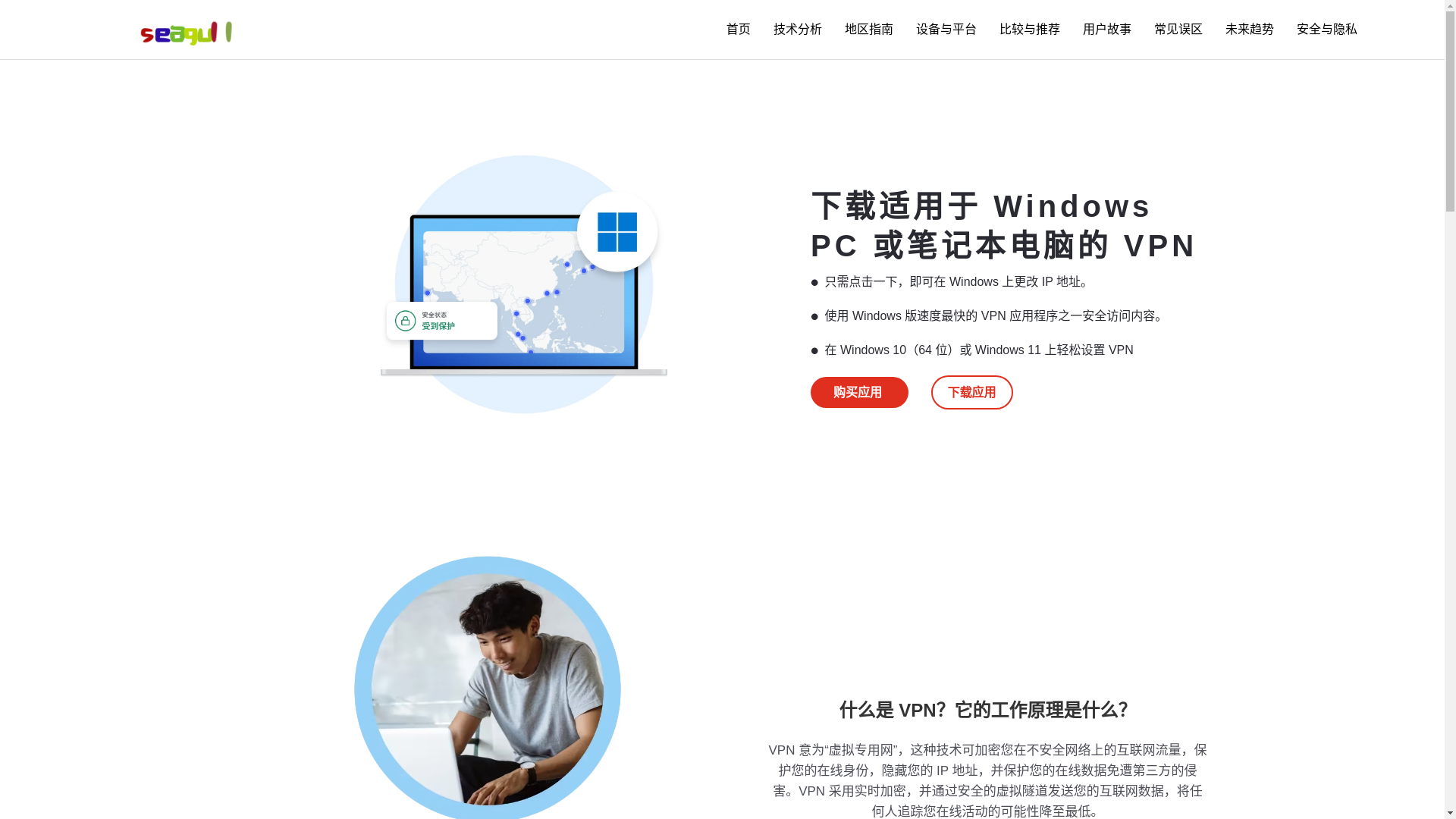 website screenshot of https://cn-seagullvpn.org/