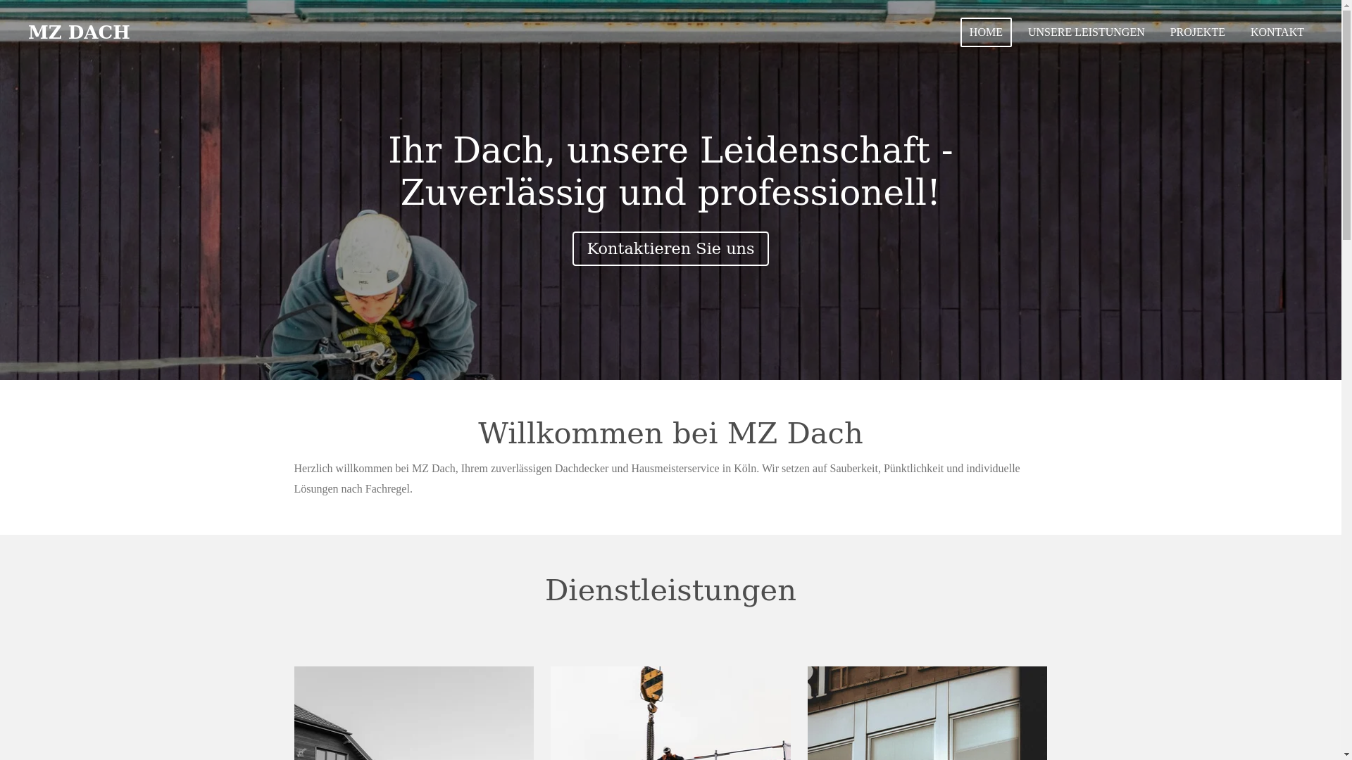 website screenshot of https://mzdachzander.de/