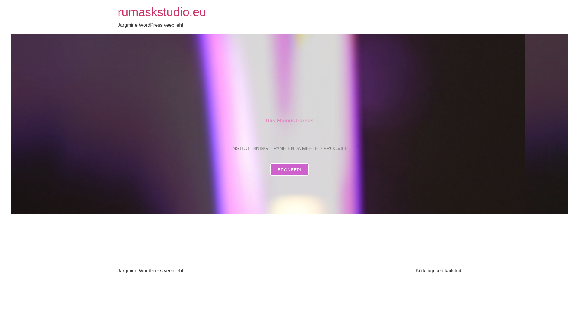 website screenshot of https://rumaskstudio.eu