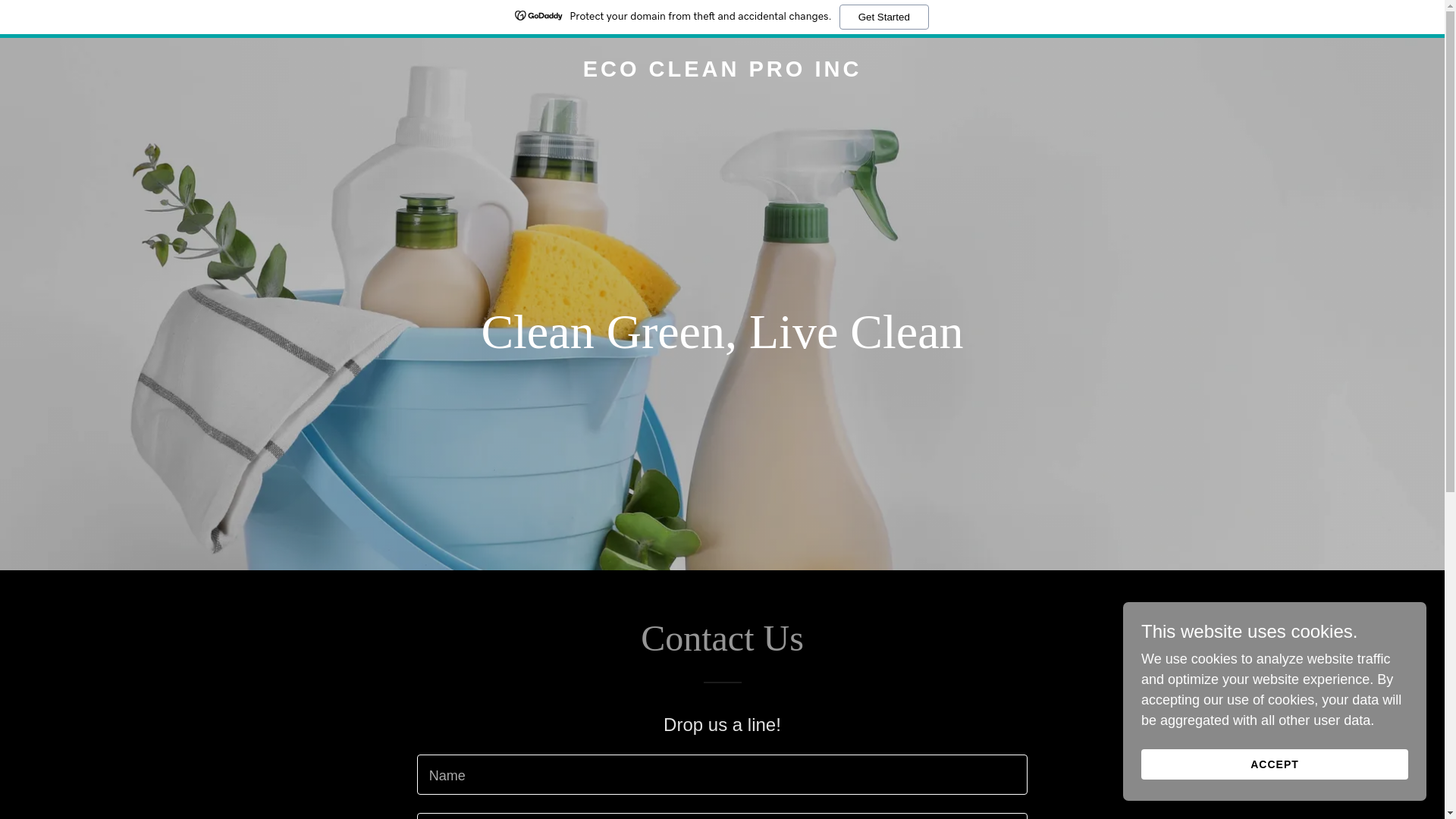 website screenshot of https://ecocleanproinc.com/