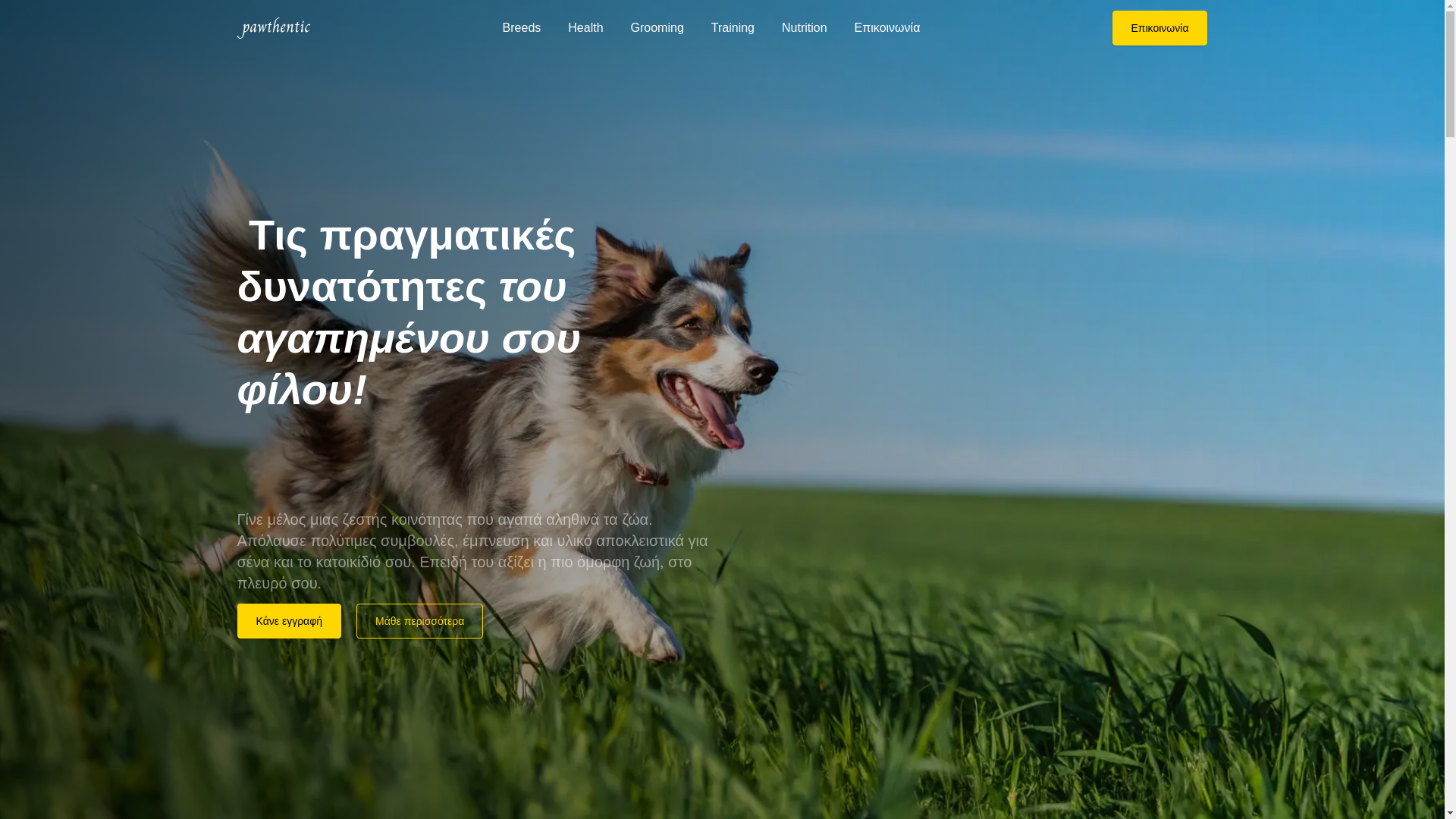 website screenshot of https://pawthentic.gr/