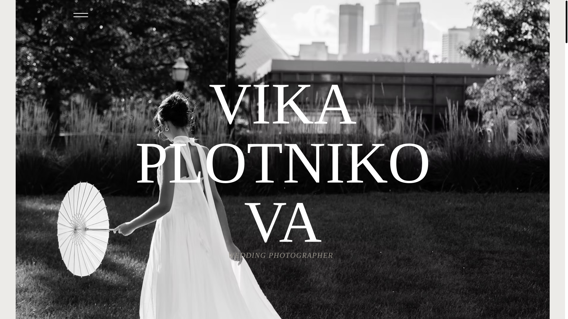 website screenshot of https://vikaplot.com/