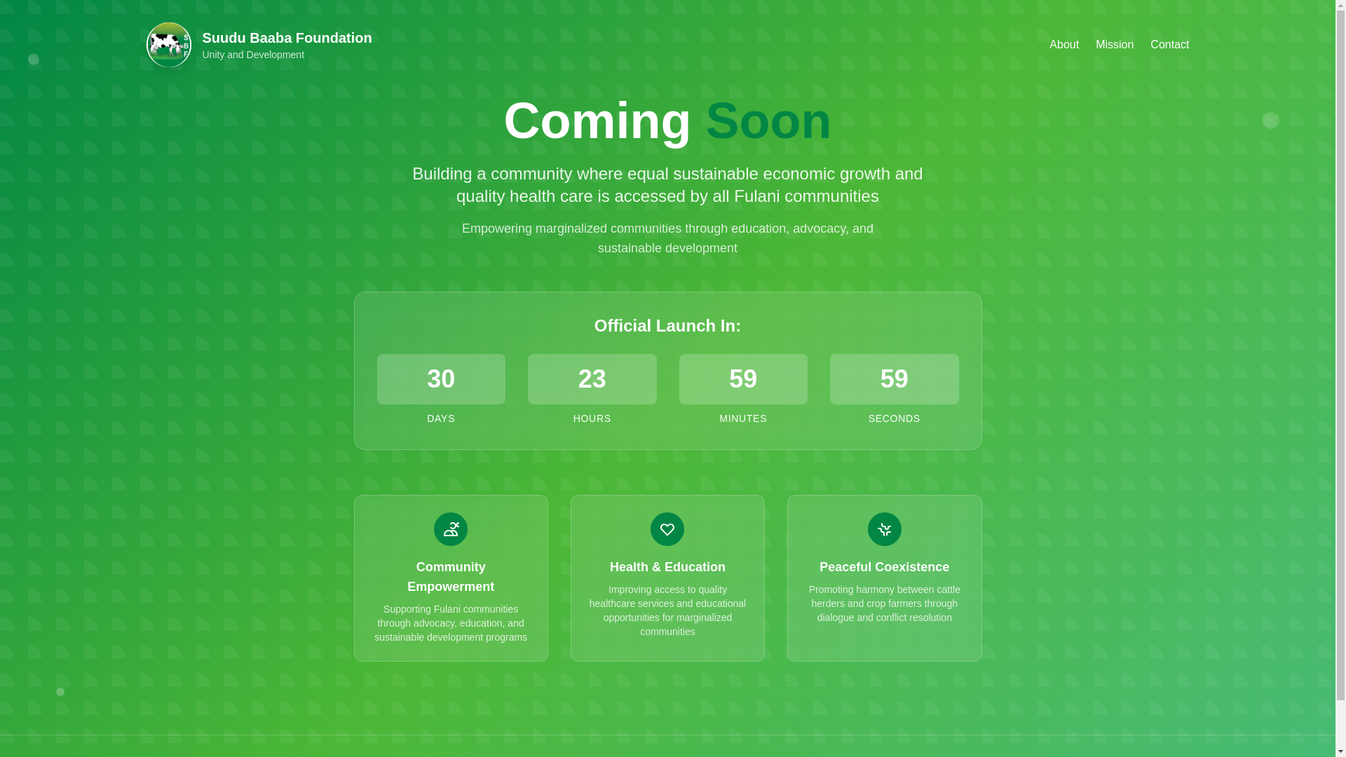 website screenshot of https://suudubaabafoundation.org/