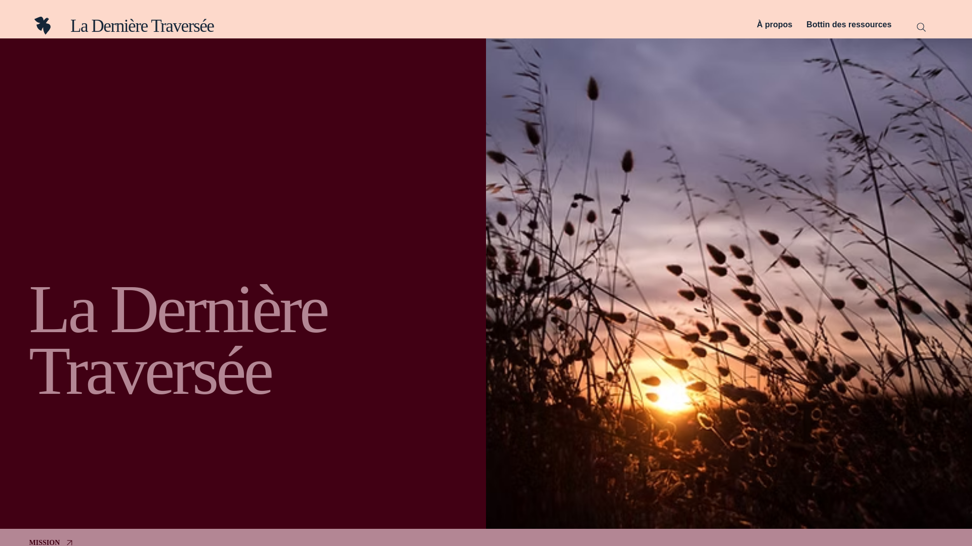 website screenshot of https://ladernieretraversee.com