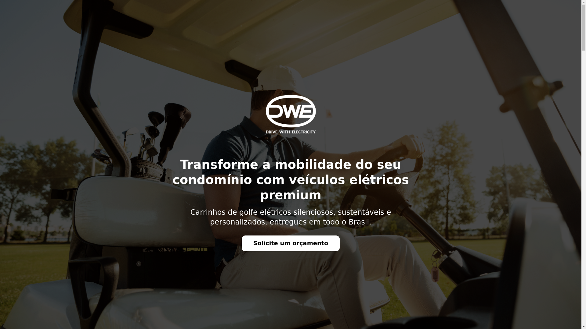 website screenshot of https://dweletricity.com.br/