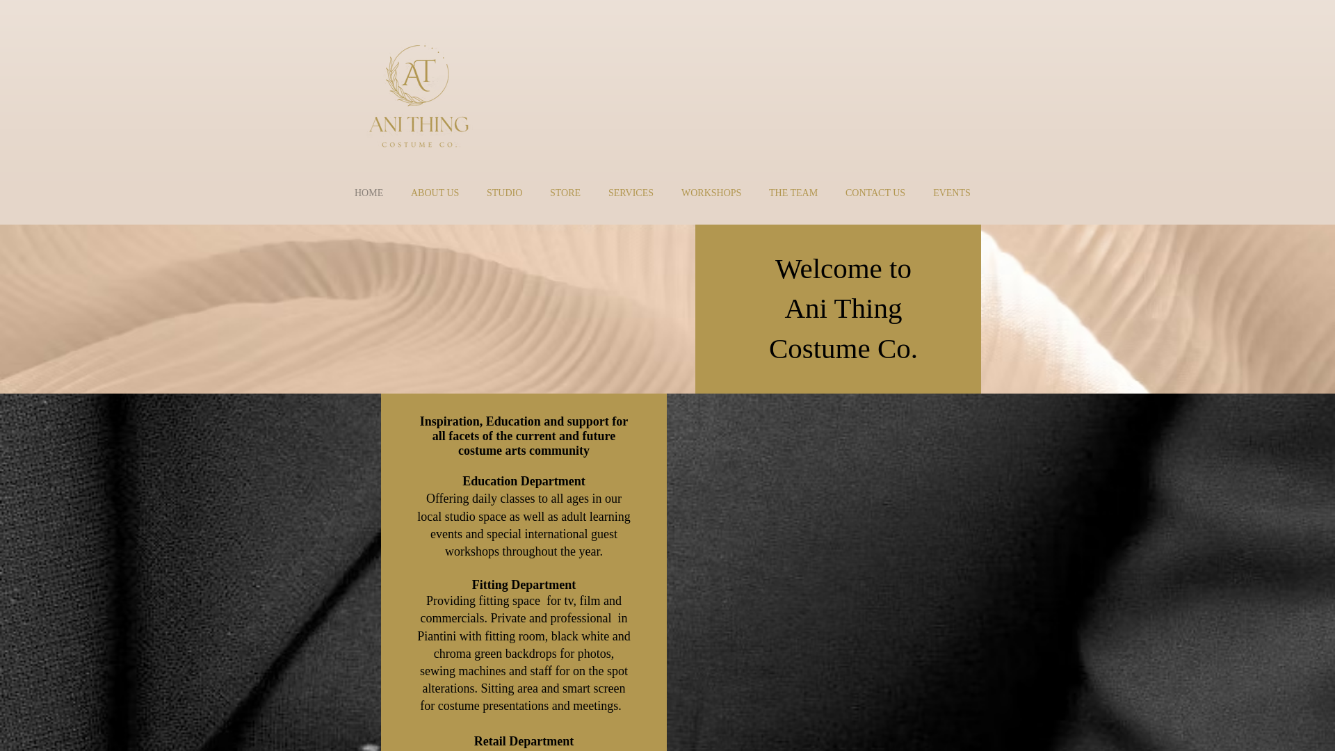 website screenshot of https://anithingstudio.com