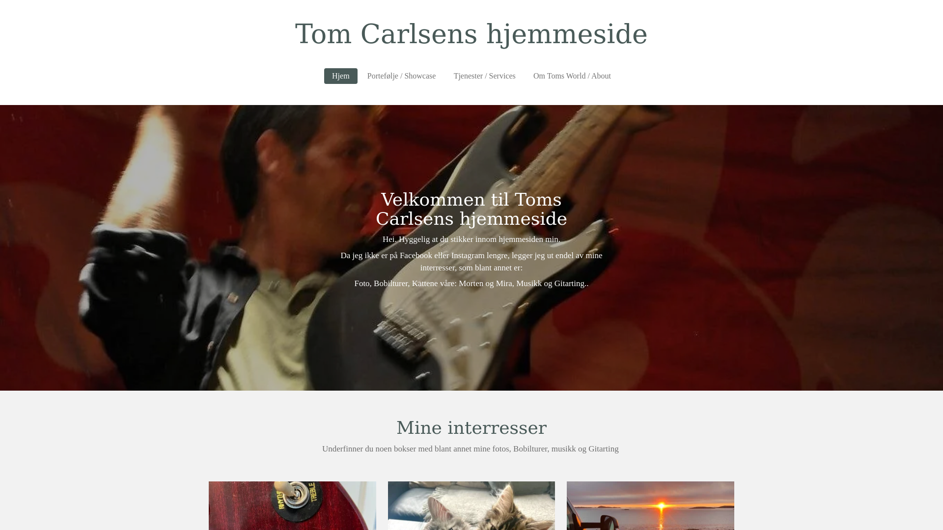 website screenshot of https://toms-carlsens-hjemmeside.com