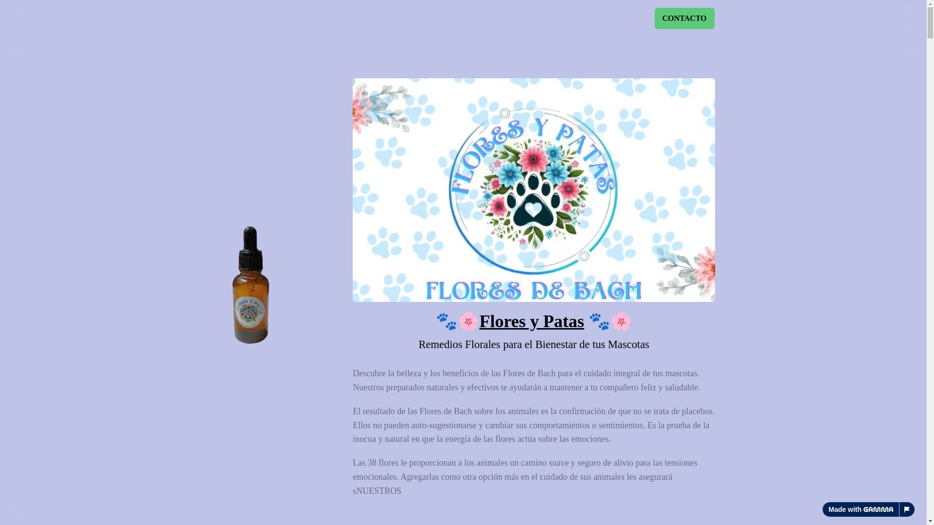 website screenshot of https://floresypatas.uy/