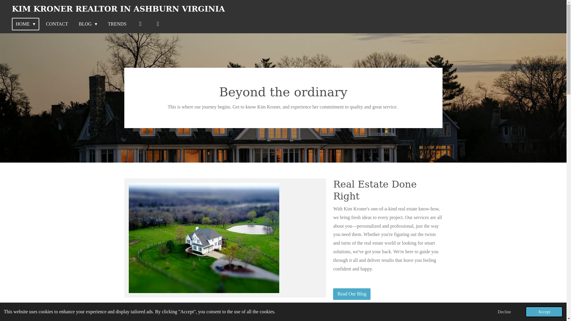 website screenshot of https://kim-kroner-realtor-in-ashburn-virginia.com/
