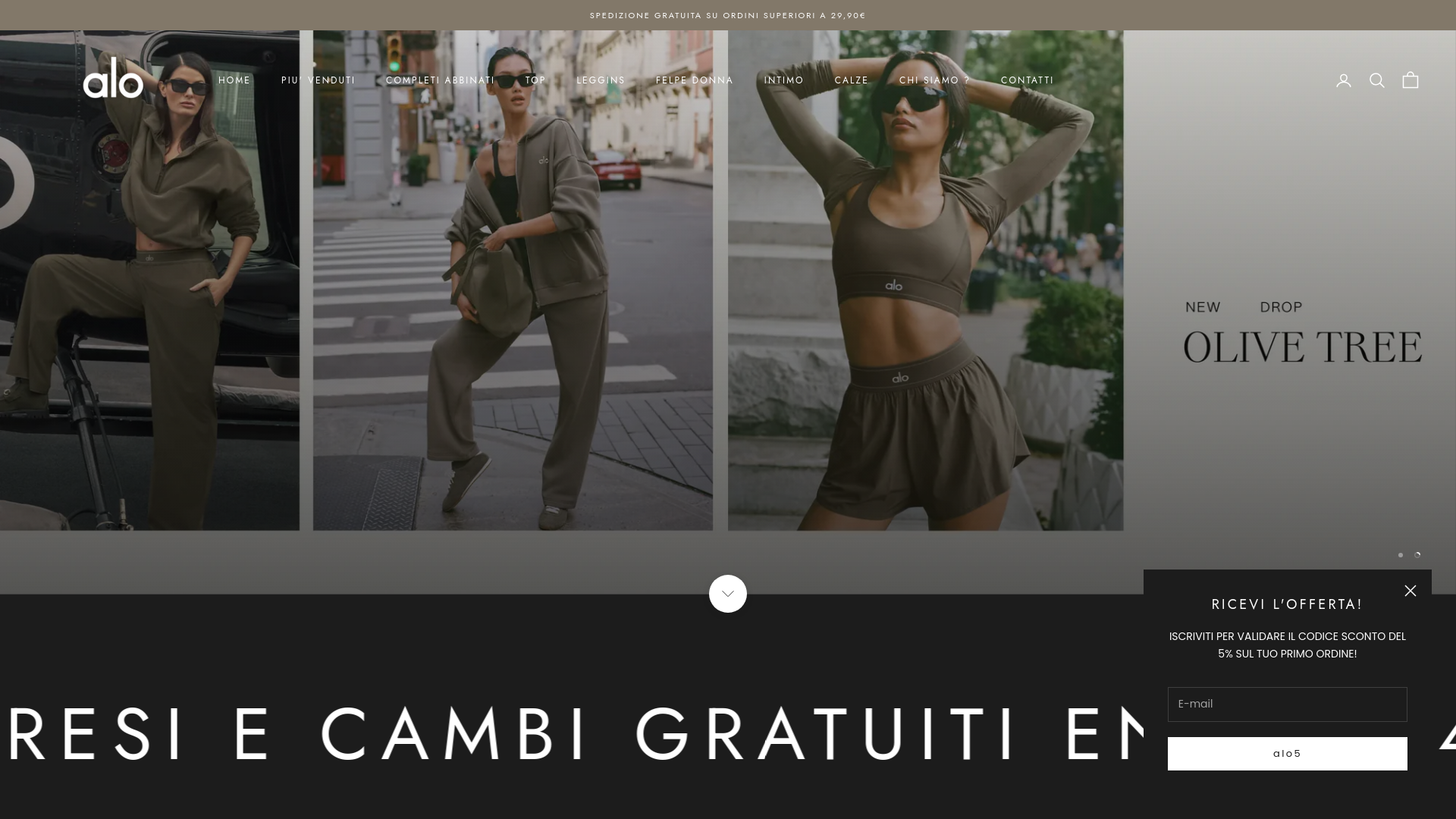 website screenshot of https://alo-outlet.it/