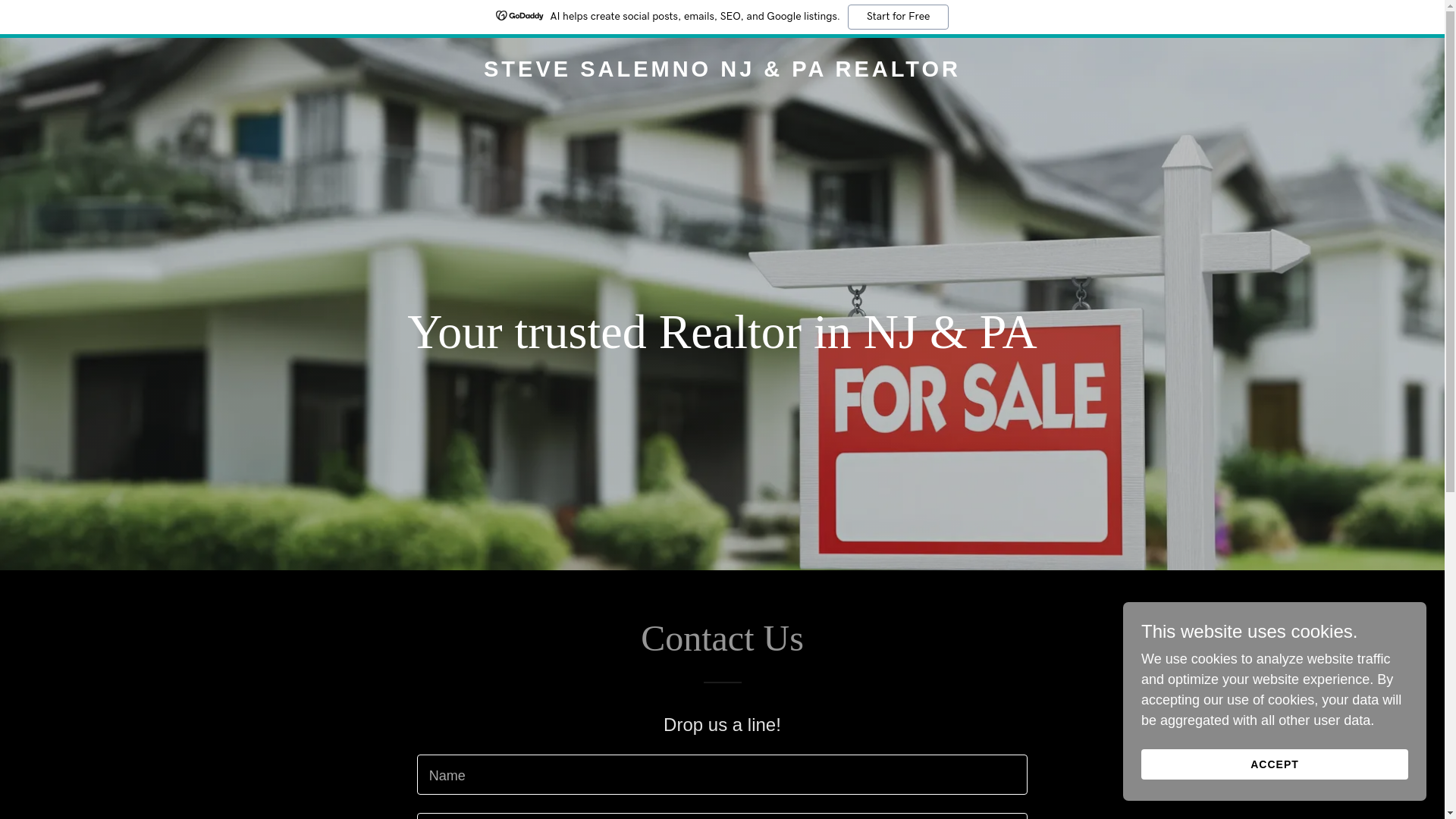 website screenshot of https://stevesellsnjpa.com/
