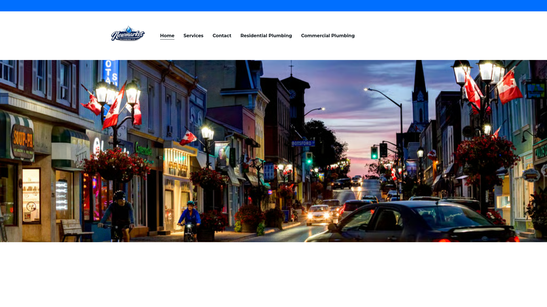 website screenshot of https://newmarketplumbingco.site