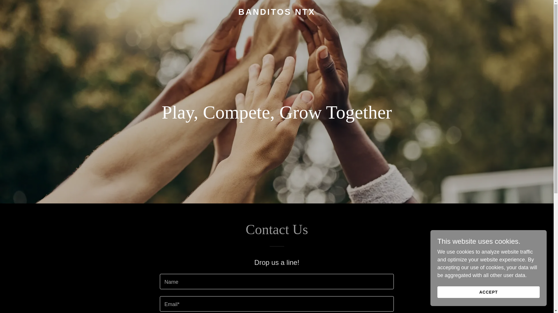 website screenshot of https://banditosntx.com/