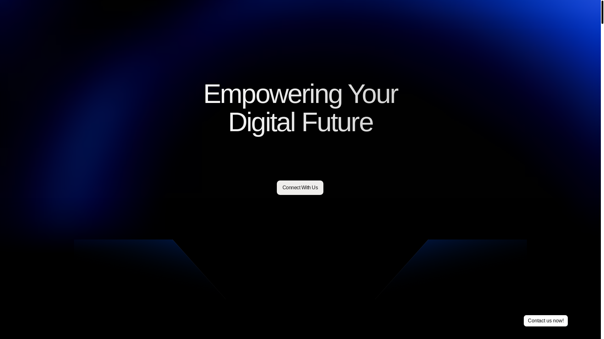 website screenshot of https://waveselite.com/