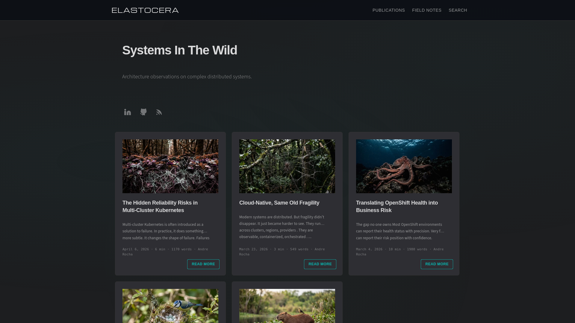 website screenshot of https://elastocera.pages.dev/