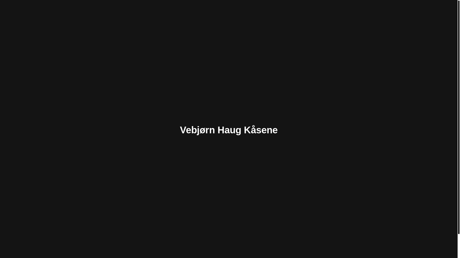 website screenshot of https://vebjoern.no/