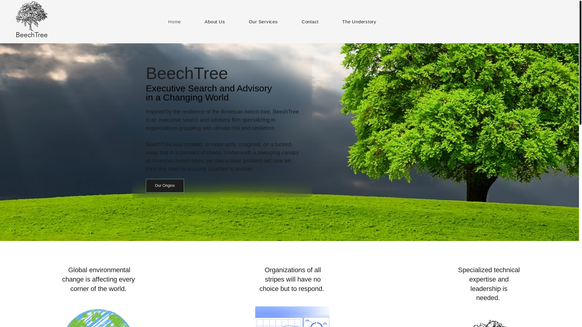 website screenshot of https://beechtreeadvisory.com/
