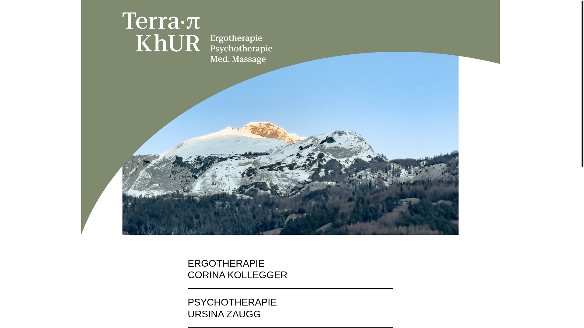 website screenshot of https://terrapikhur.ch/