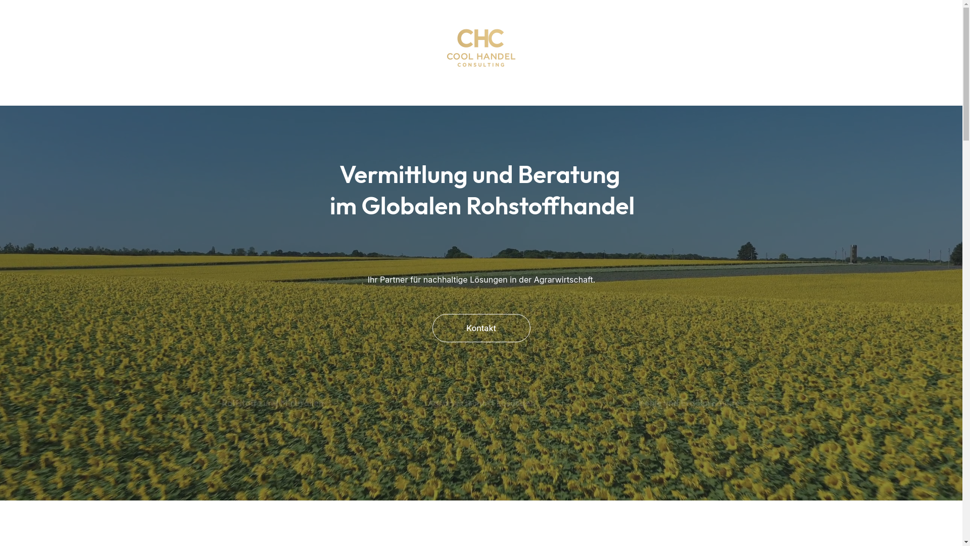 website screenshot of https://coolhandelconsulting.de/