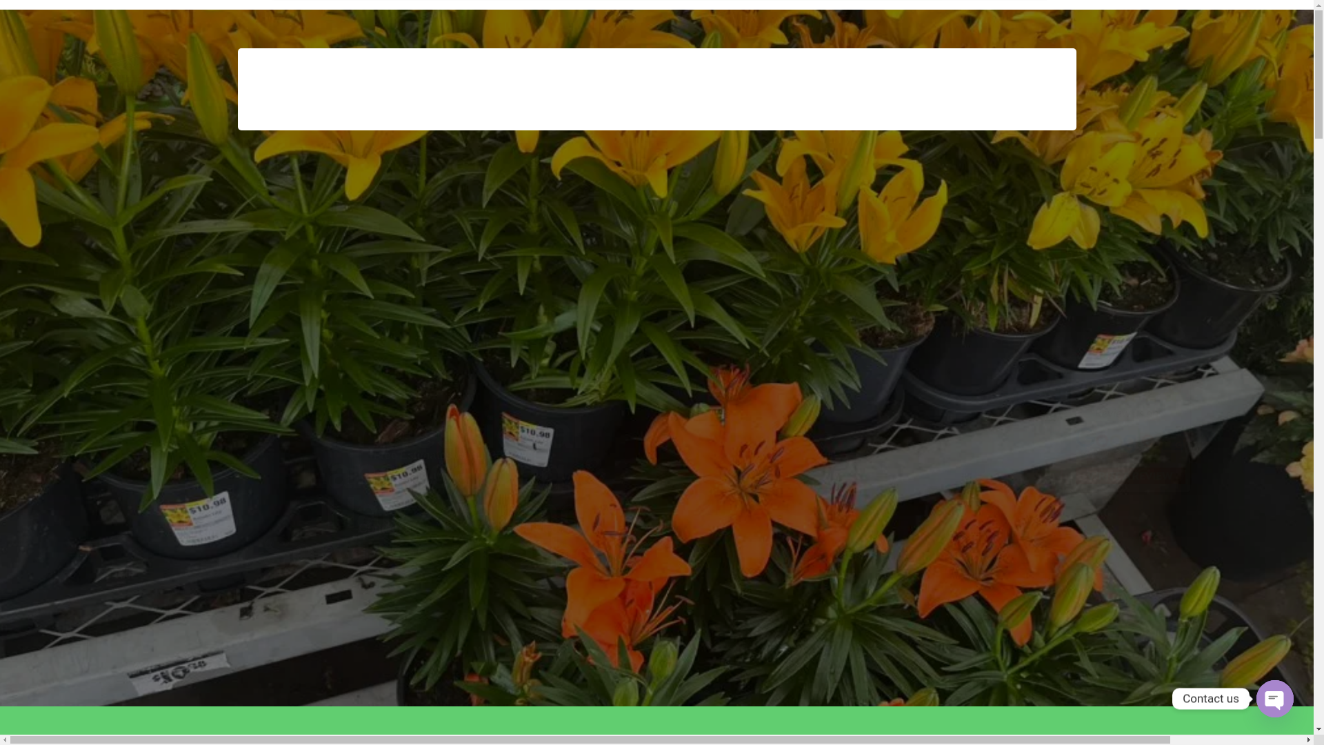 website screenshot of https://carrillolandscapingservicesllcwa.com/