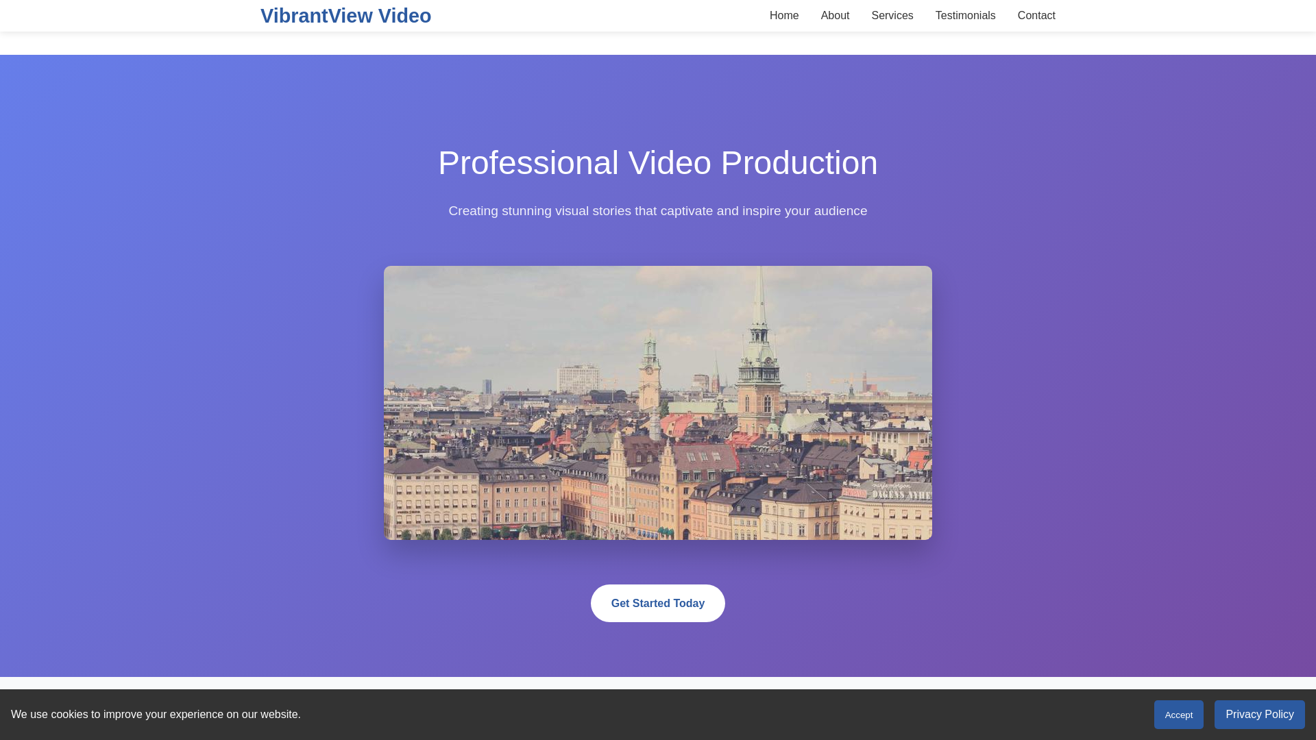 website screenshot of https://vibrantviewvideo.xyz/