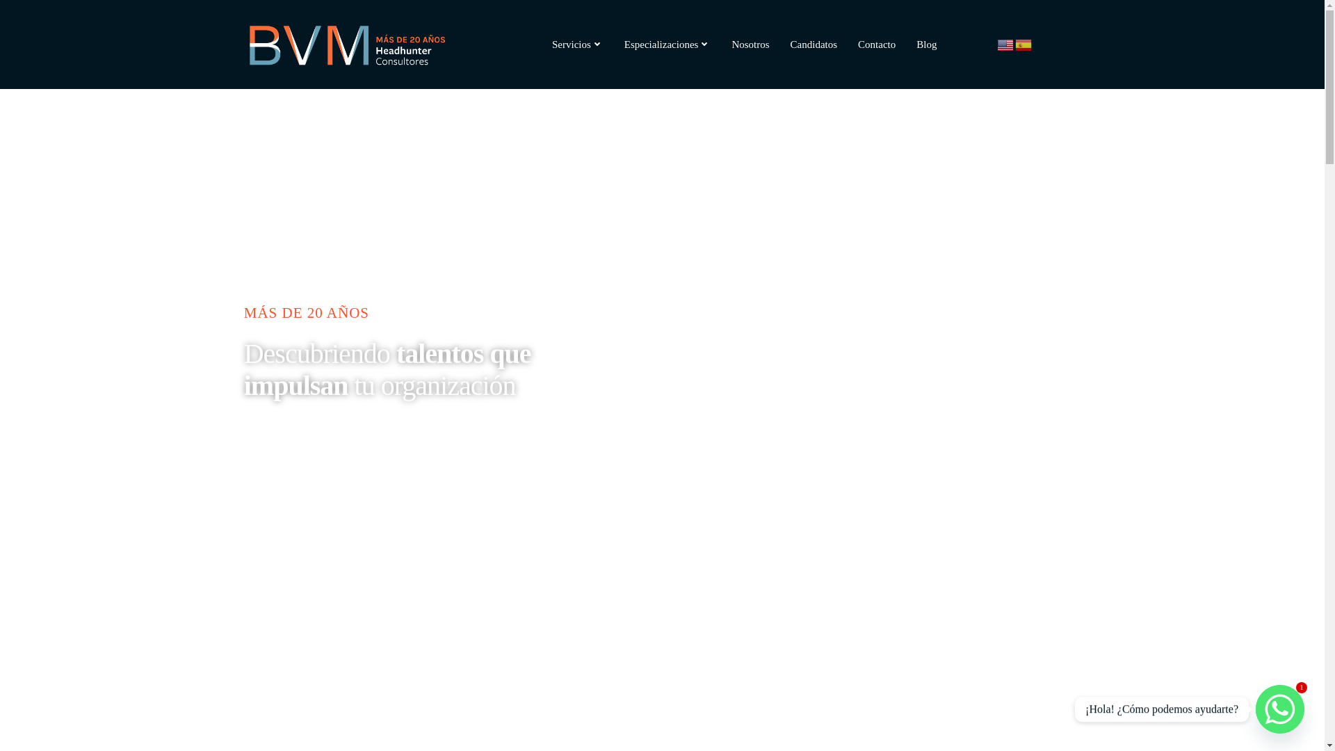 website screenshot of https://bvmheadhunting.com/