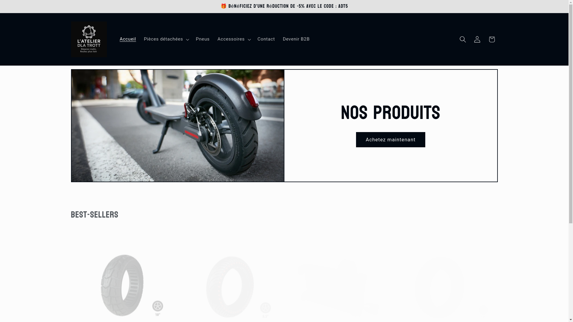 website screenshot of https://latelierdlatrott.fr/