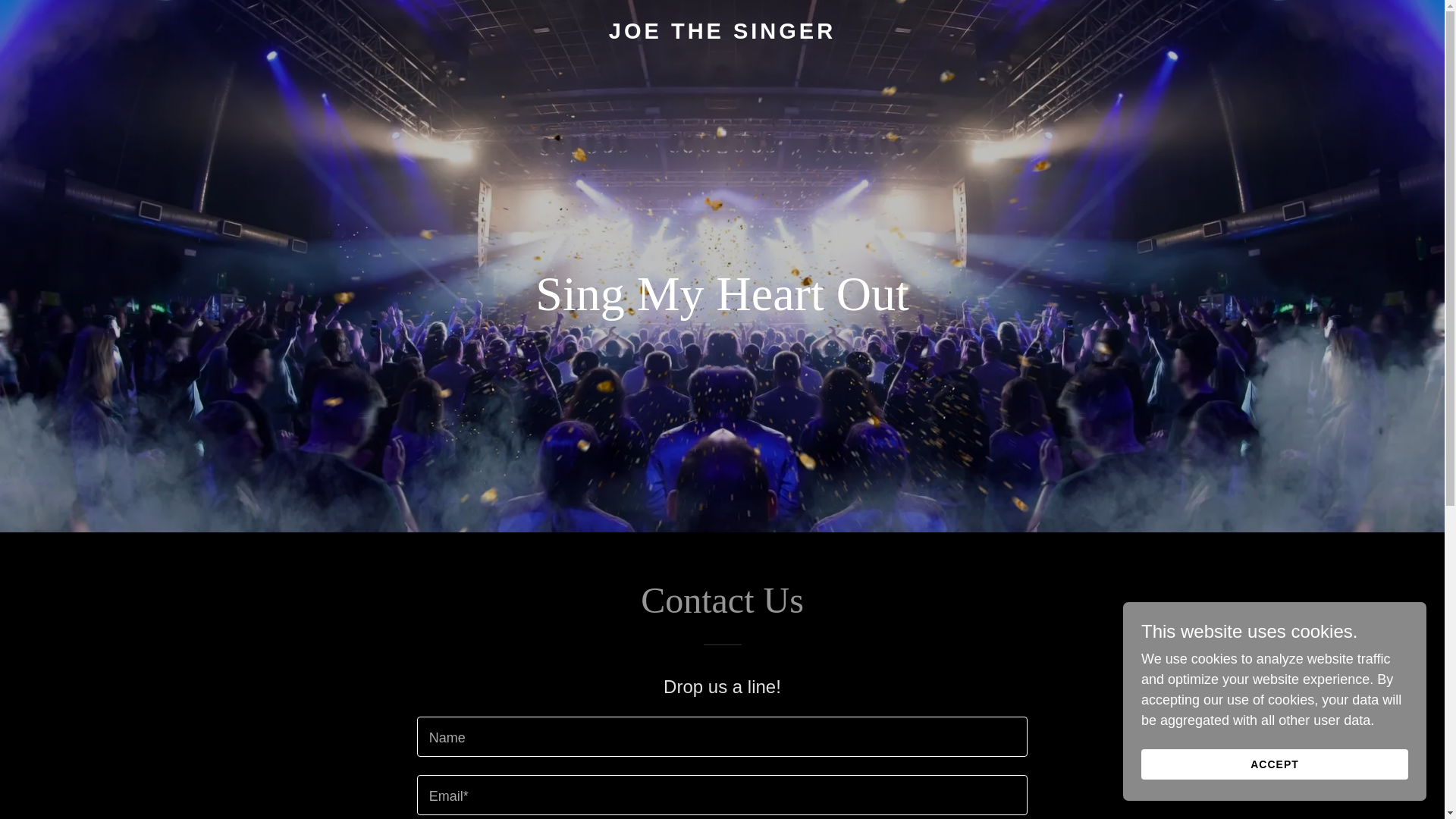 website screenshot of https://joethesinger.com/