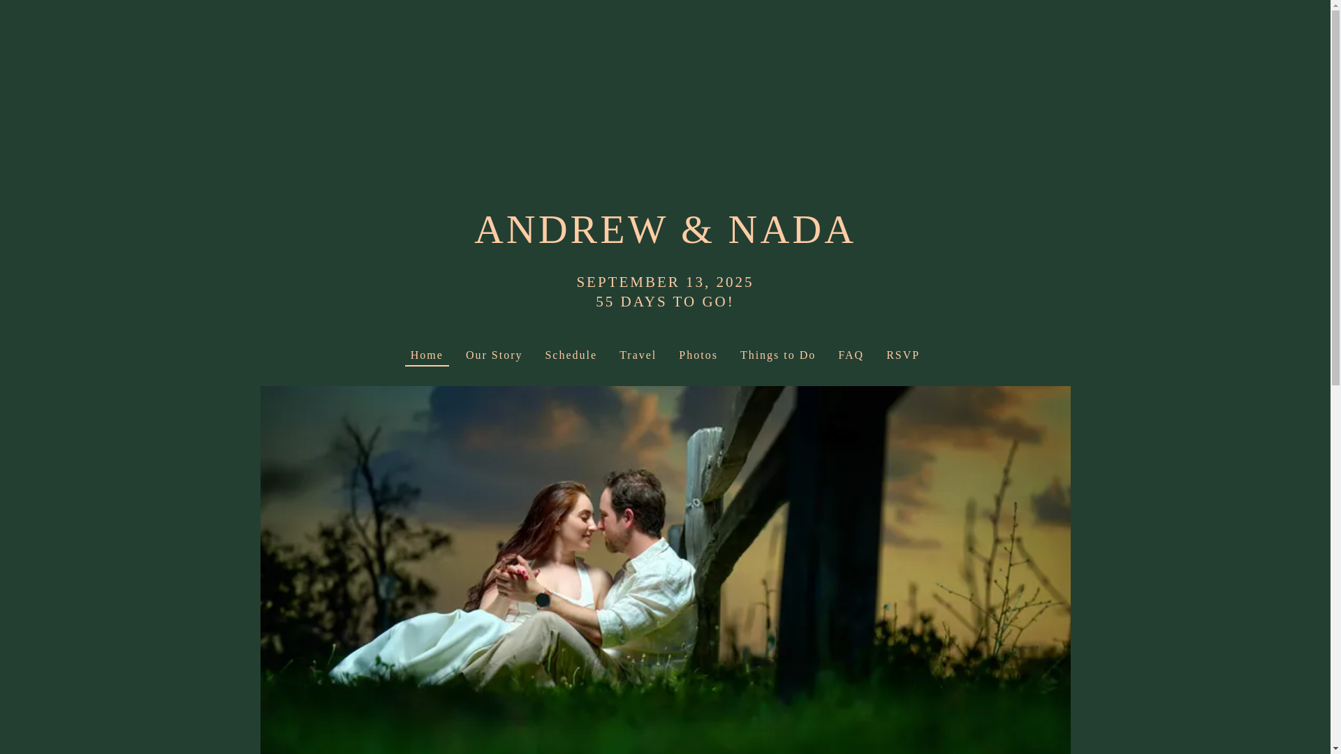 website screenshot of https://andrewisnadavailable.com/