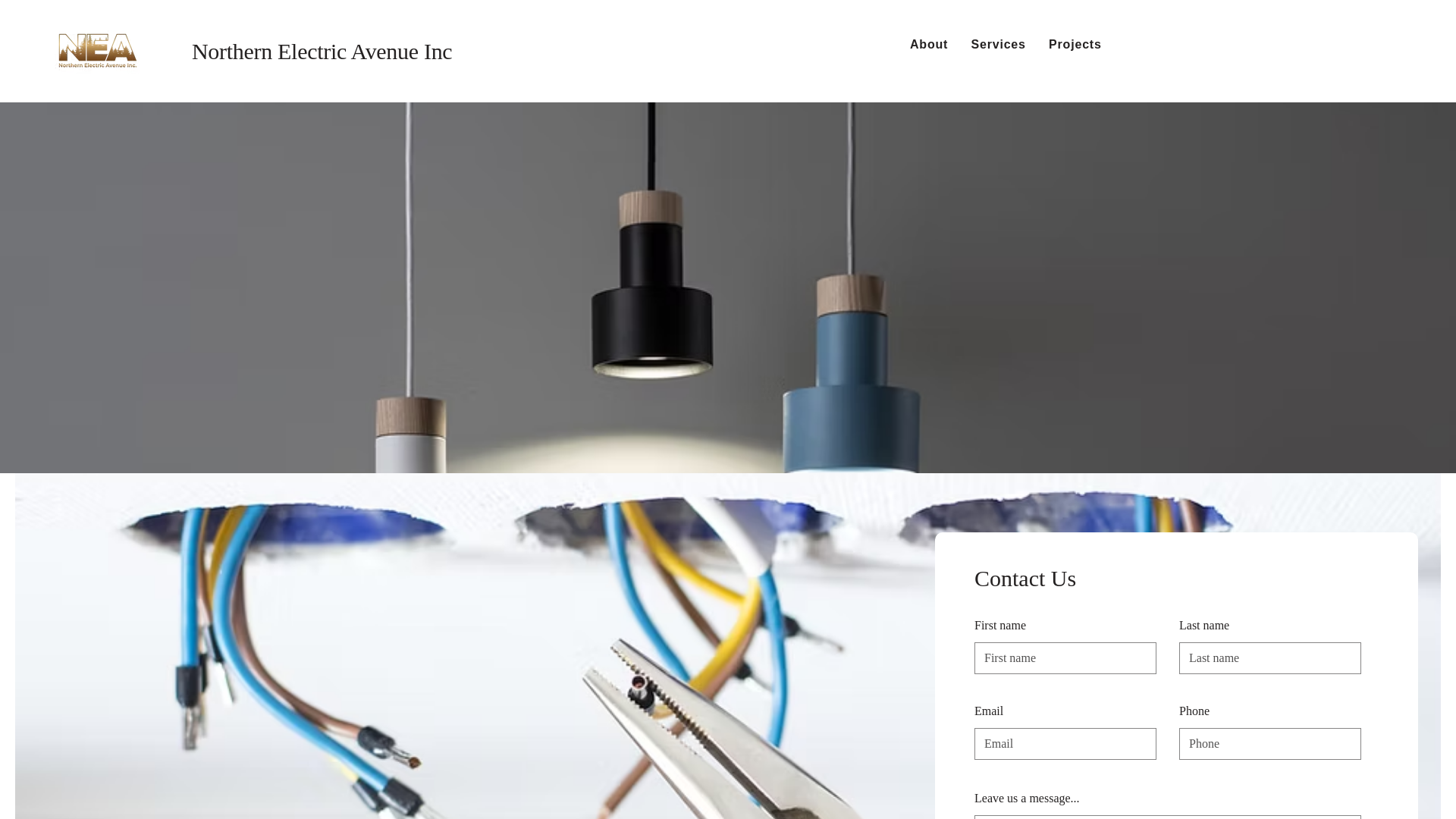 website screenshot of https://northernelectricave.ca