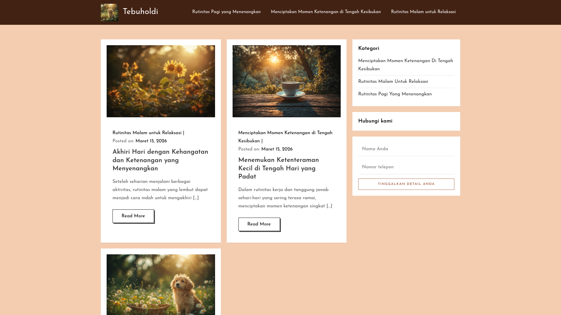 website screenshot of https://tebuholdi.onl