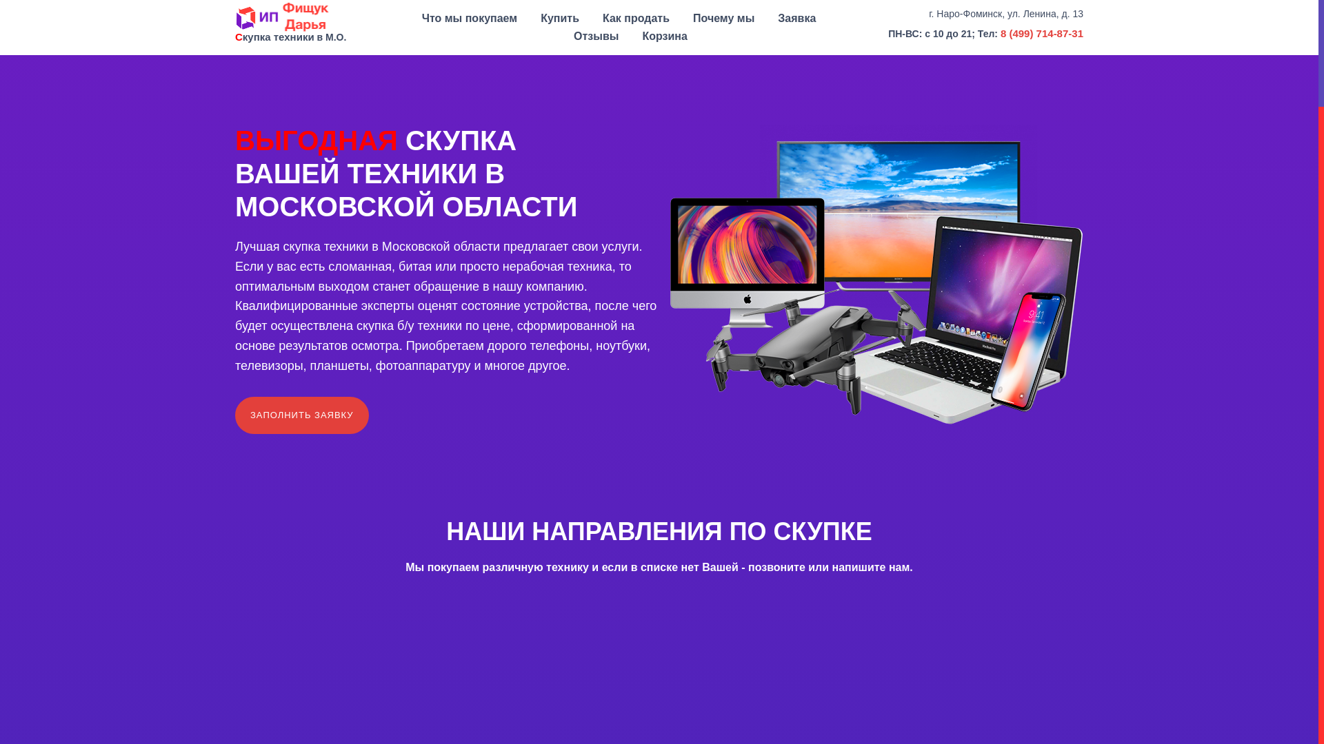 website screenshot of https://pokupaem-tekniku.ru/