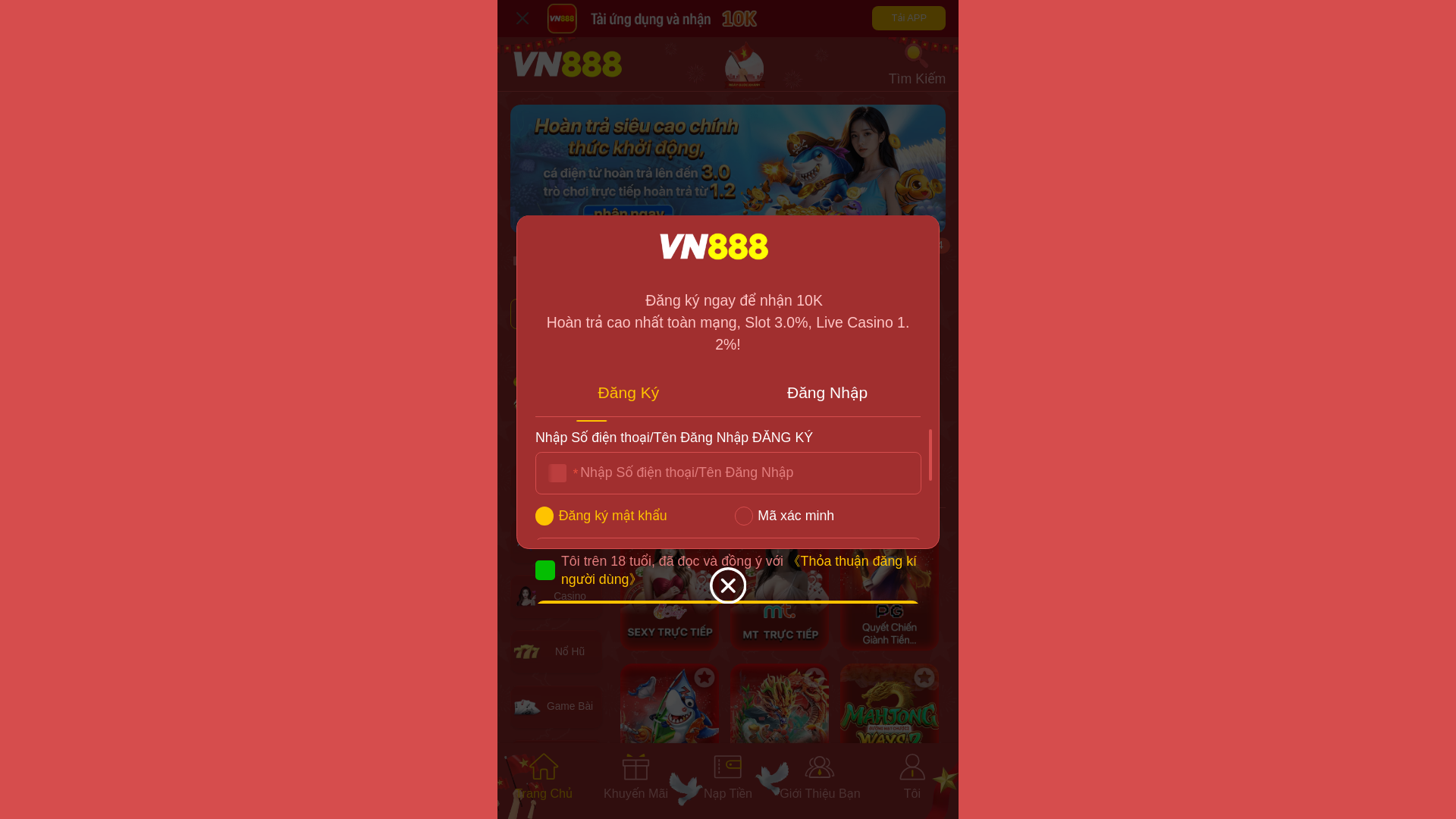 website screenshot of https://vn888zr.com/