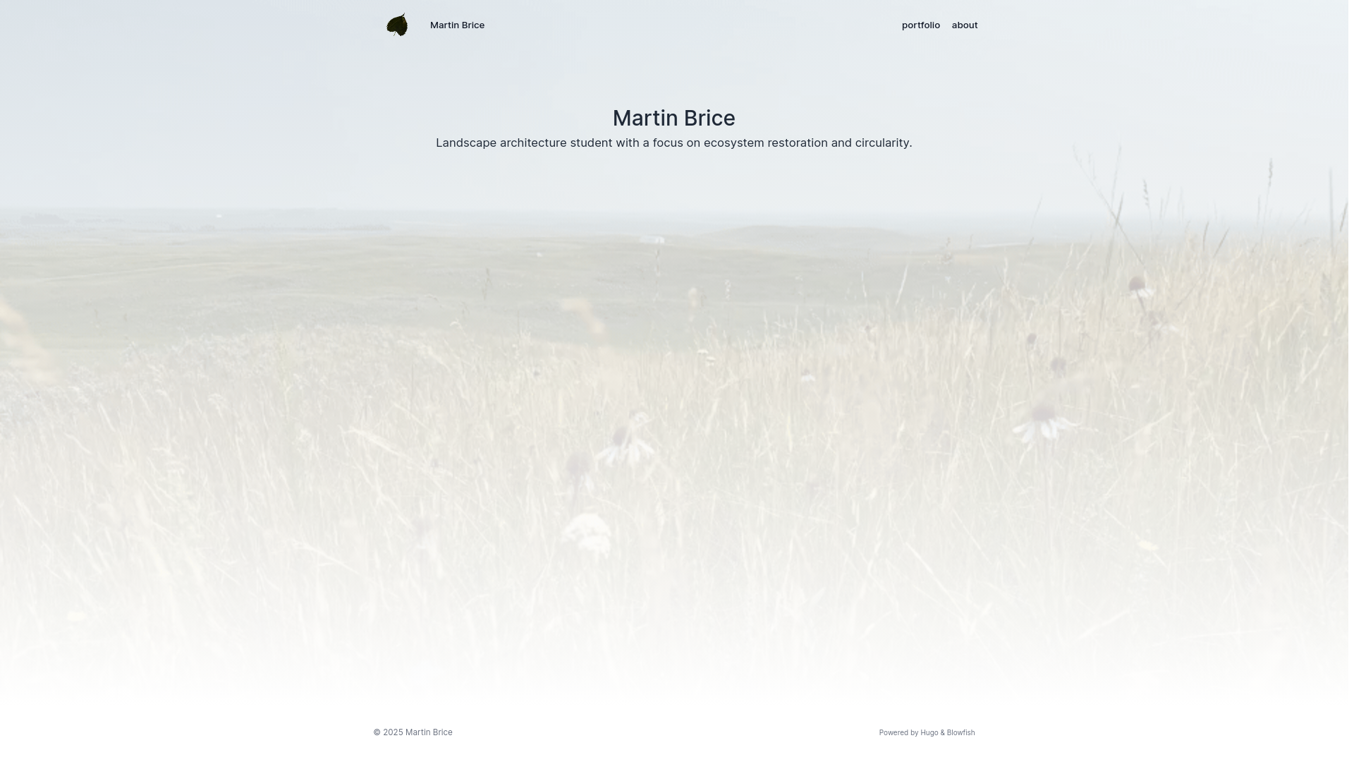 website screenshot of https://martinbrice-site.pages.dev/