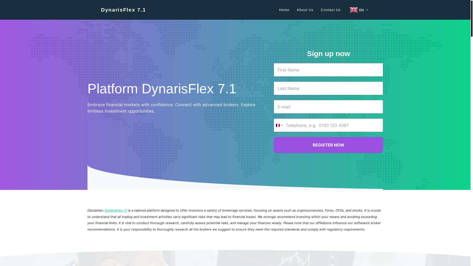 website screenshot of https://dynarisflex71.com/