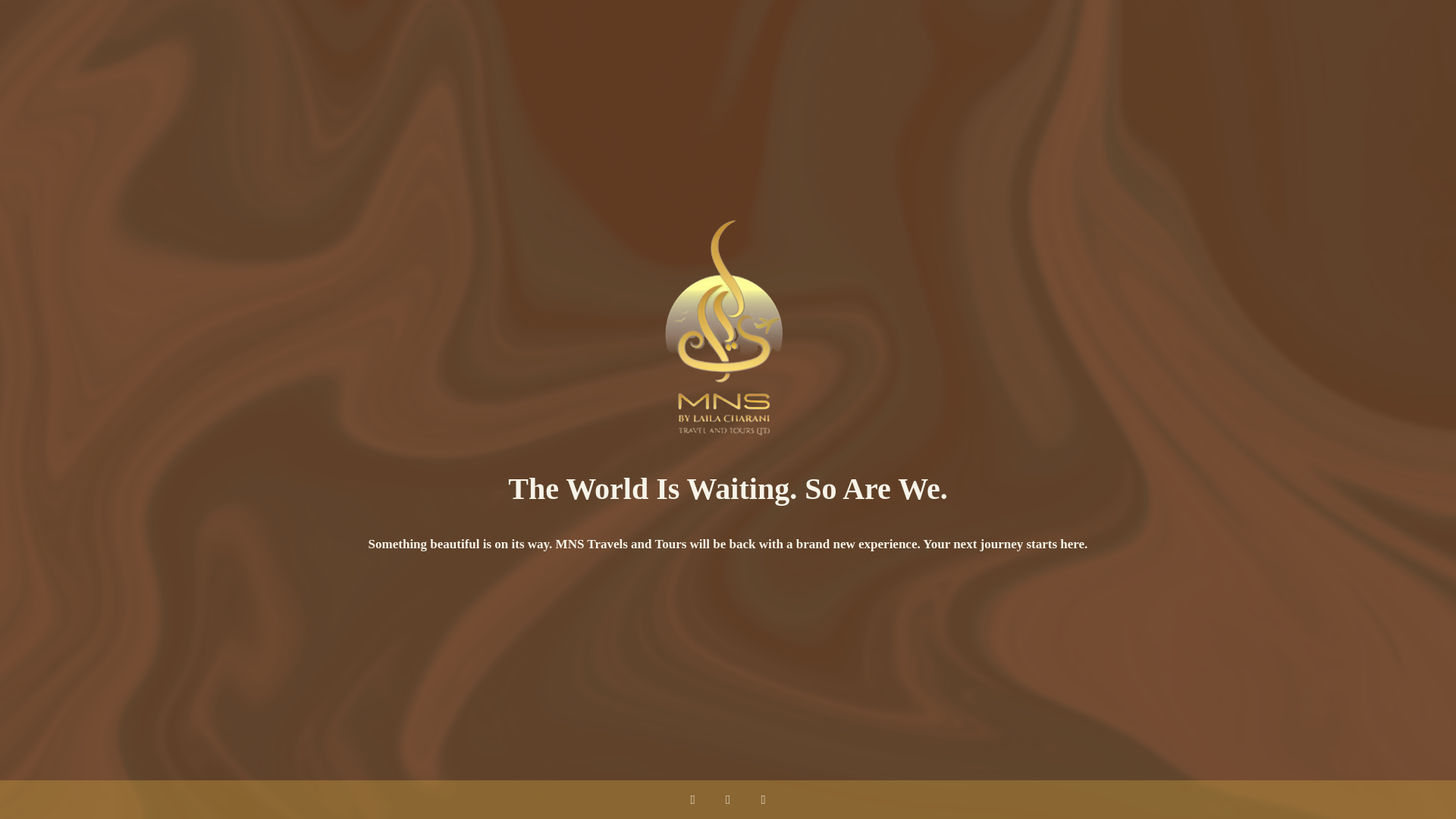 website screenshot of https://mnstravelsandtours.com/