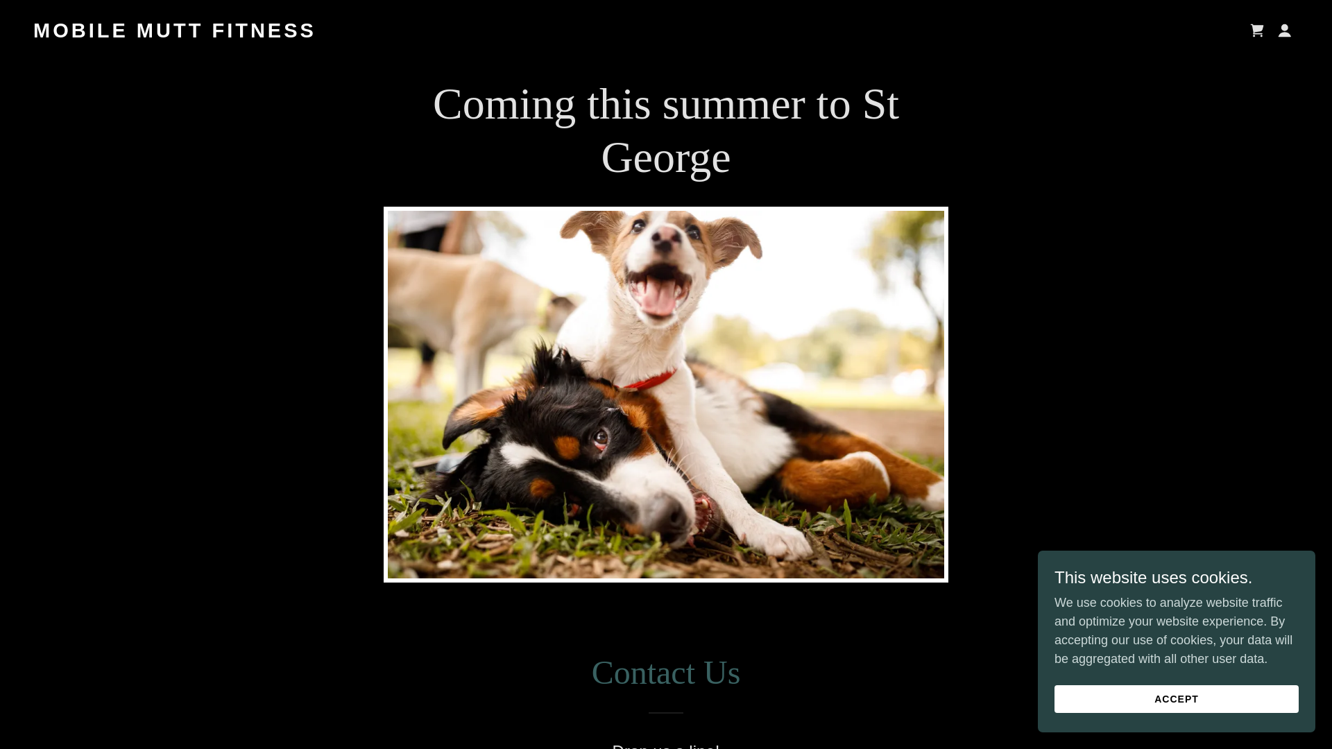 website screenshot of https://mobilemuttfitness.com/