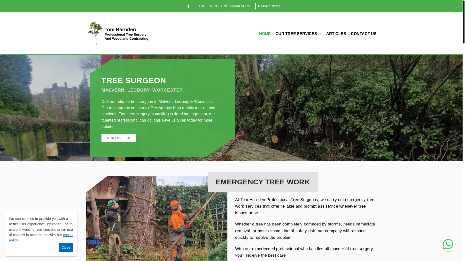website screenshot of https://treesurgeonsworcestershire.uk/